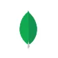 MongoDB